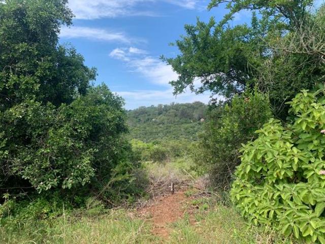 Property for sale in Bushmans River Mouth, Eastern Cape