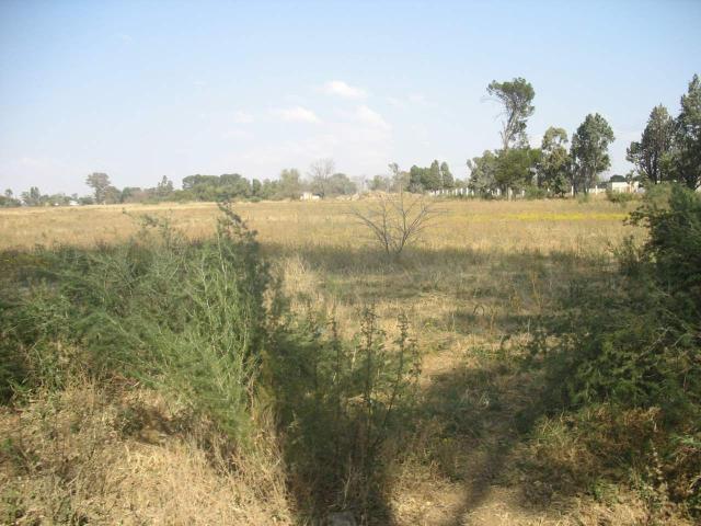 Land for sale in Bloemfontein, Free State