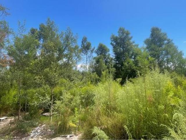 Property for sale in Kareedouw, Eastern Cape