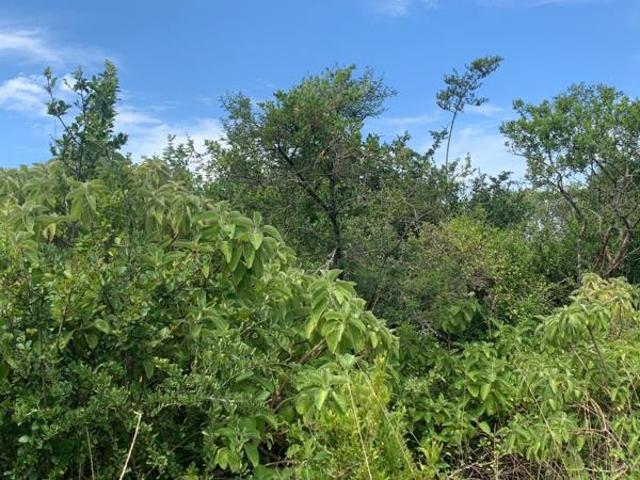 Property for sale in Bushmans River Mouth, Eastern Cape