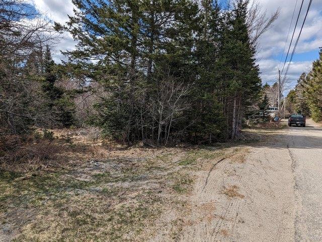 Land for sale in Machiasport, Maine