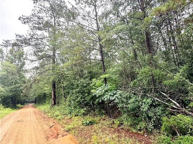 Land for sale in Louisiana