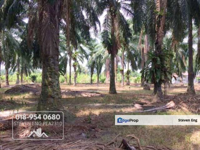 Shop for sale in Perak, Taiping