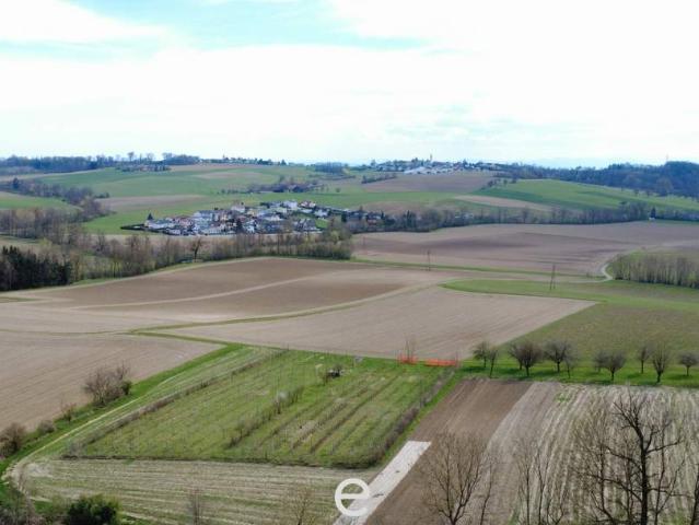 Gewerbe kaufen in Eferding, Oberösterreich