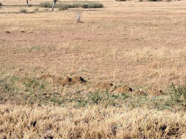 Land for sale in Bloemfontein, Free State