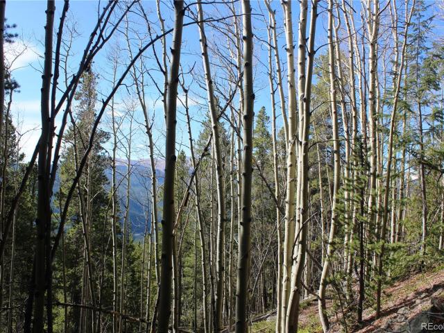 Land for sale in Clear Creek, Colorado