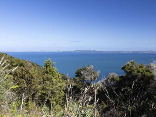 Property for sale in Fairburn, Northland