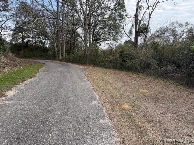Land for sale in New Brockton, Alabama