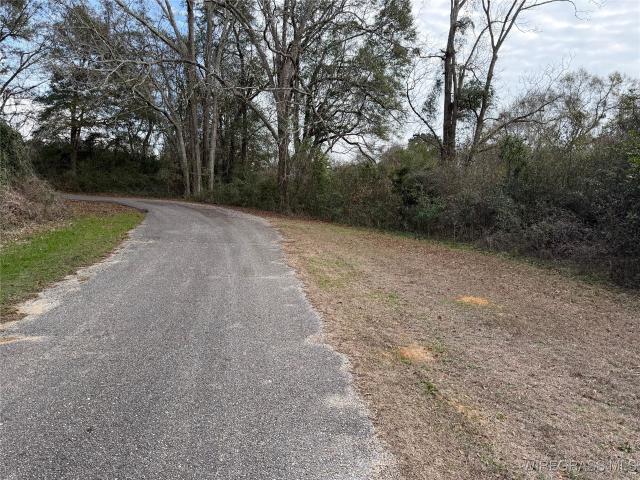 Land for sale in New Brockton, Alabama