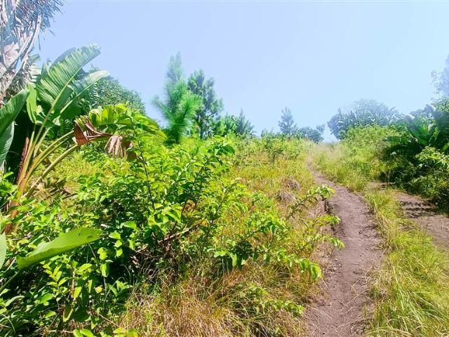 Property for sale in Ugu District Municipality, Kwazulu-natal