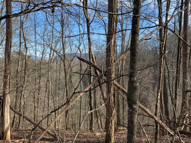 Land for sale in Tennessee