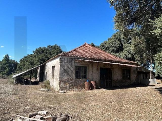 Terreno venda em Pedrógão Grande, Leiria