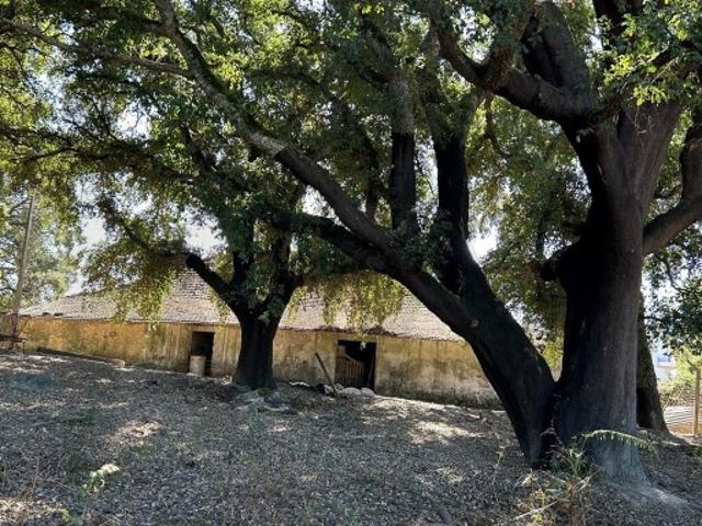 Terreno venda em Pedrógão Grande, Leiria