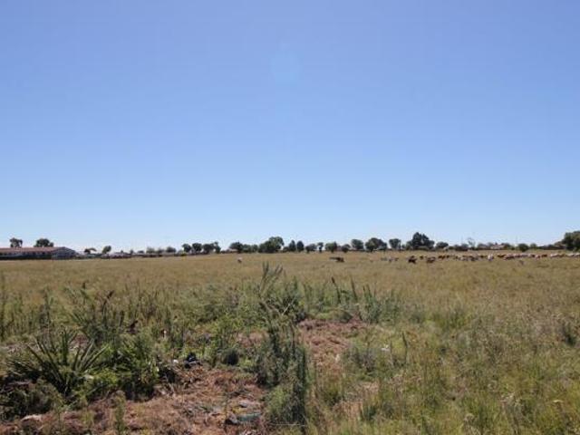 Land for sale in Oranjeville, Free State