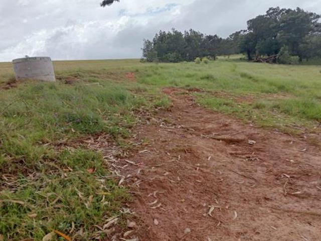 Land for sale in Amathole District Municipality, Eastern Cape