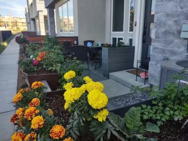 Condo for rent in San Diego