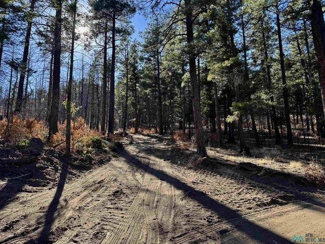 Land for sale in Mora, New Mexico