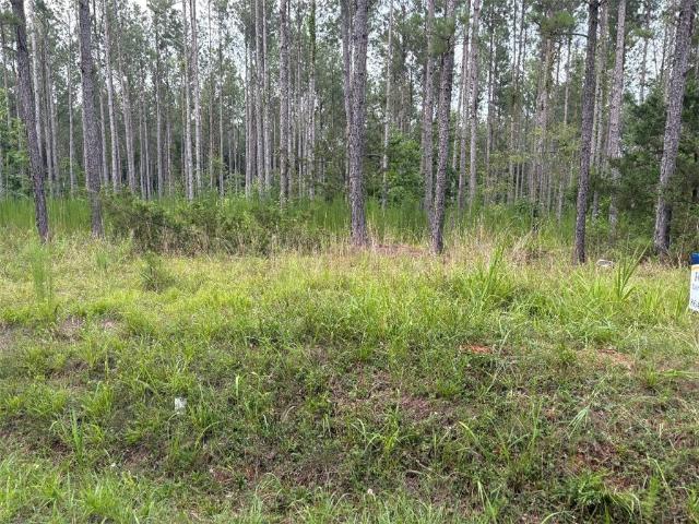 Land for sale in Iva, Anderson County
