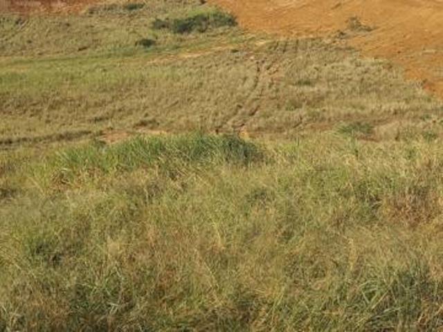 Property for sale in Ballito, KwaDukuza Local Municipality