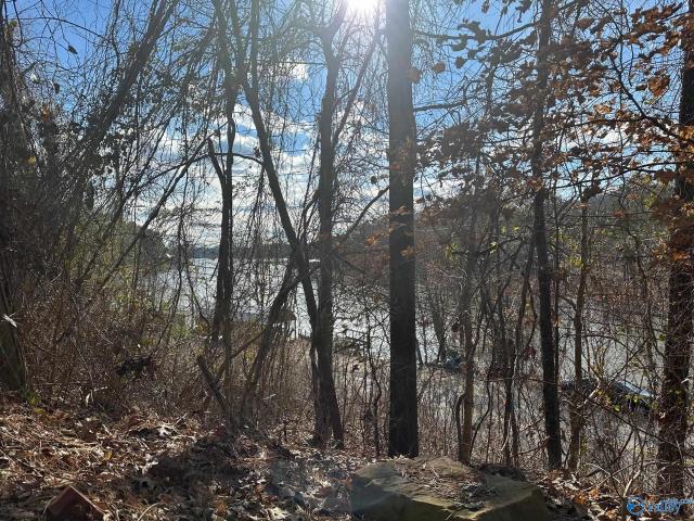 Land for sale in Williams, Rainbow City