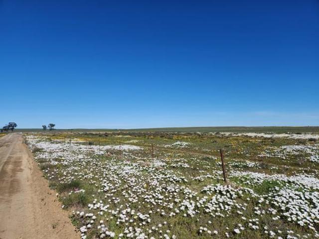 Property for sale in Hantam, Northern Cape
