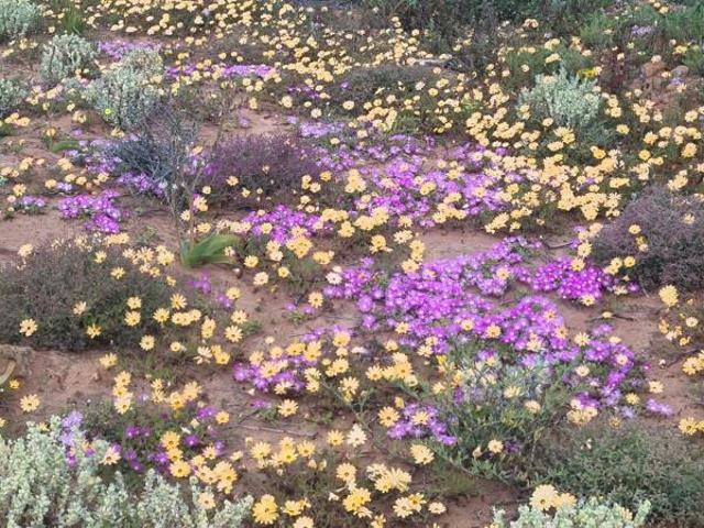 Property for sale in Hantam, Northern Cape