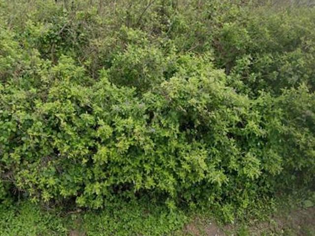Property for sale in Seaview, Kwazulu-natal