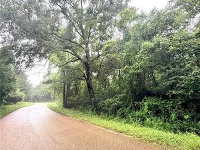 Land for sale in Louisiana