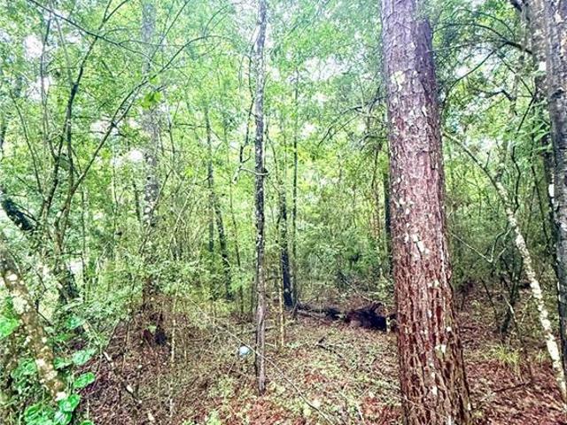 Land for sale in Louisiana