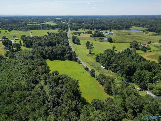 Land for sale in Henagar, Alabama