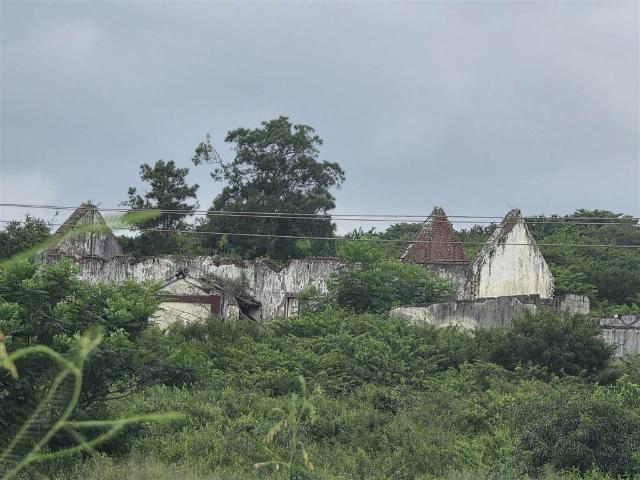 Farm for sale in UMhlathuze Municipality, Kwazulu-natal
