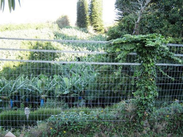 Farm for sale in Ugu District Municipality, Kwazulu-natal