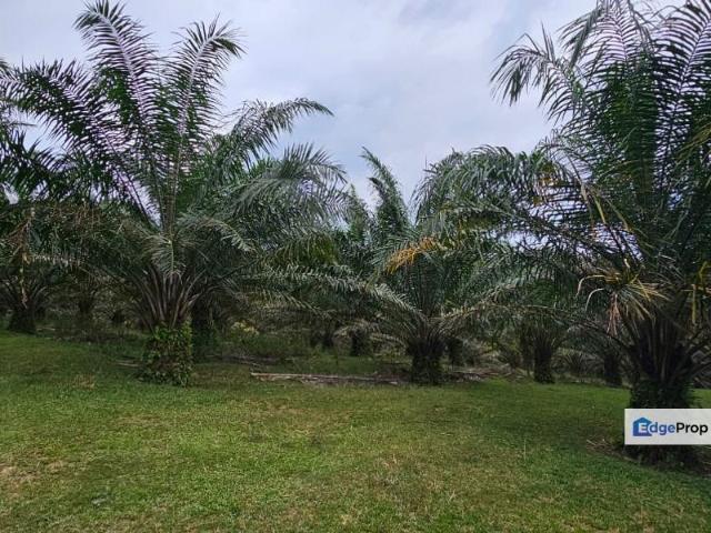 Shop for sale in Perak, Tronoh