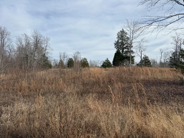 Land for sale in Gainesboro, Middle Tennessee