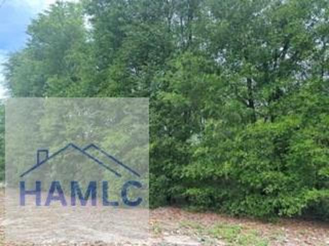 Land for sale in Reidsville, Georgia