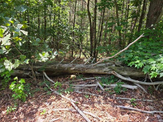 Land for sale in Henagar, Alabama
