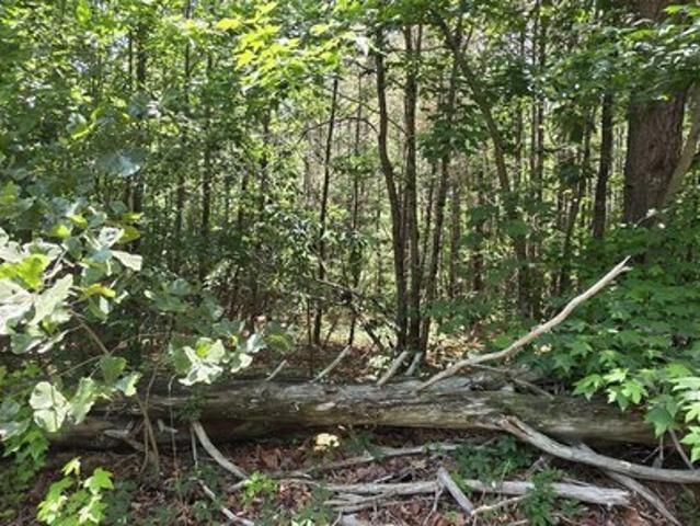 Land for sale in Henagar, Alabama
