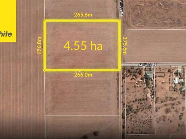 Land for sale in Napperby, South Australia