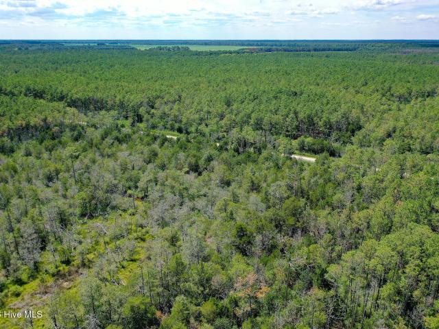 Land for sale in Bayboro, North Carolina
