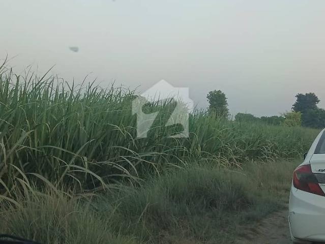 Land for sale in رحیم یار خان, بہاولپور ڈویژن