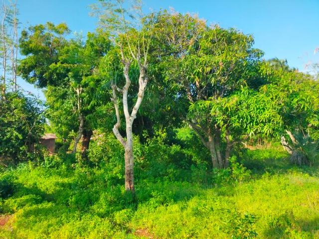 Land for sale in Mtwapa, Shimo la Tewa