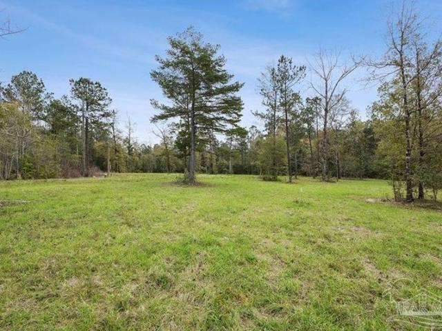 Land for sale in Brewton, Alabama