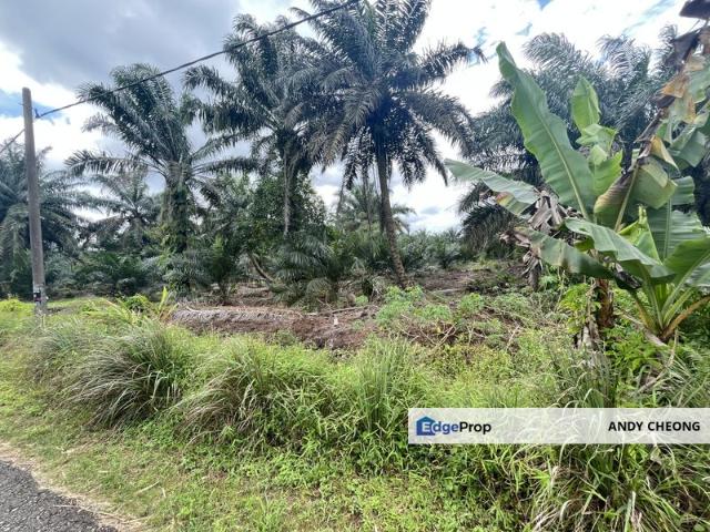 Warehouse for sale in Pekan Nanas, Johor