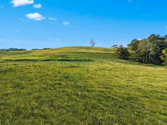 Land for sale in Tennessee