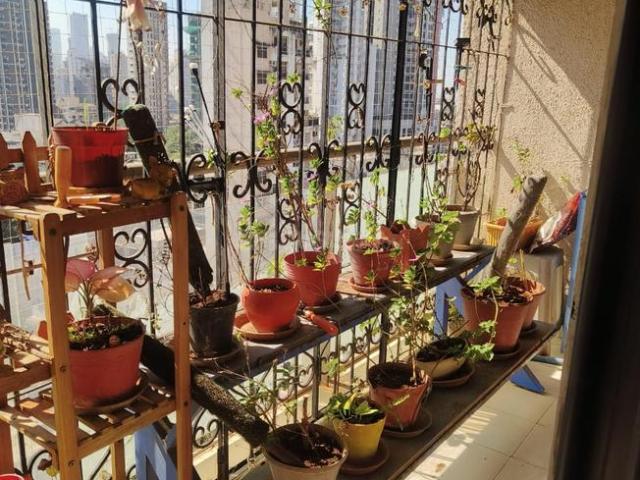 Flat for sale in Prabhadevi - Mumbai, National Capital Territory Of Delhi