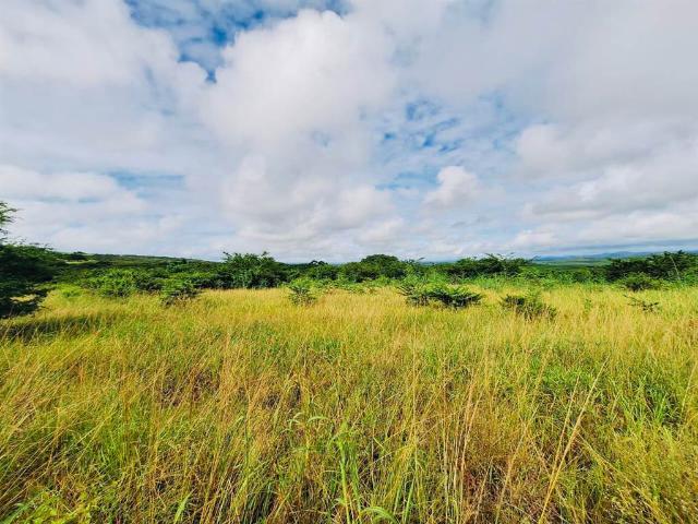 Farm for sale in UMhlathuze Municipality, Kwazulu-natal