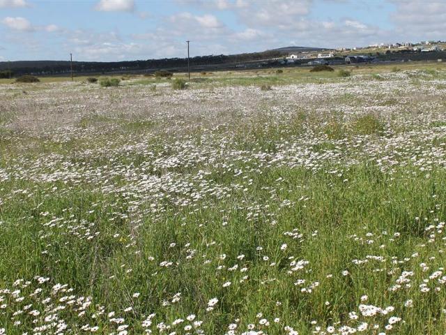Land for sale in Western Cape