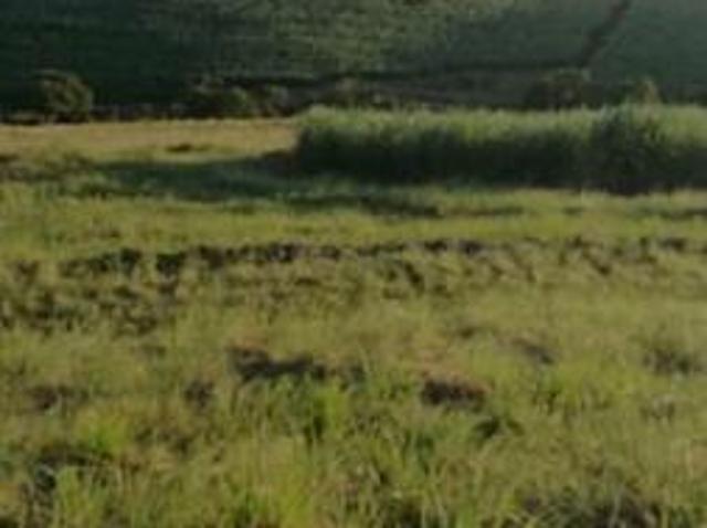 Land for sale in Kwazulu-natal