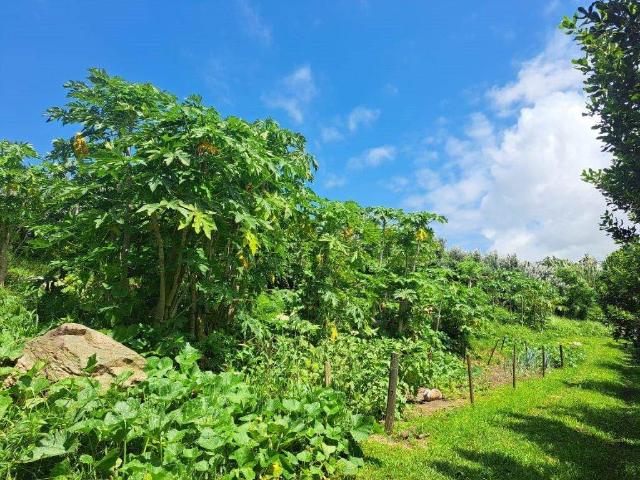 Property for sale in Ugu District Municipality, Kwazulu-natal