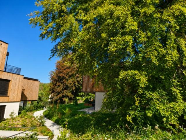 Wohnung kaufen in Lausanne, District de Lausanne